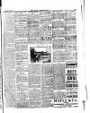 South London Mail Saturday 24 January 1891 Page 7