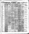 South London Mail Saturday 01 April 1893 Page 7
