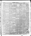 South London Mail Saturday 11 August 1894 Page 5