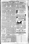 South London Mail Saturday 08 February 1896 Page 15
