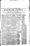 South London Mail Saturday 08 February 1896 Page 19
