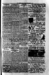 South London Mail Saturday 14 January 1899 Page 15