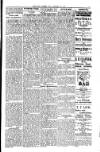 South London Mail Saturday 13 January 1900 Page 9
