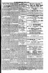 South London Mail Saturday 17 March 1900 Page 15