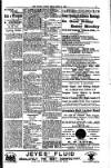 South London Mail Saturday 14 April 1900 Page 12