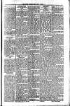 South London Mail Saturday 07 July 1900 Page 8