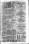 South London Mail Saturday 03 November 1900 Page 11