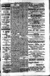 South London Mail Saturday 03 November 1900 Page 15