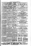 South London Mail Saturday 10 November 1900 Page 11