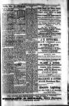 South London Mail Saturday 24 November 1900 Page 11