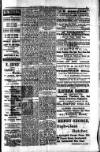 South London Mail Saturday 24 November 1900 Page 15