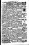 South London Mail Saturday 26 January 1901 Page 13