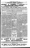 South London Mail Saturday 11 January 1902 Page 11