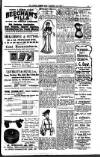 South London Mail Saturday 11 January 1902 Page 15