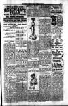 South London Mail Saturday 01 March 1902 Page 15