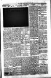 South London Mail Saturday 10 May 1902 Page 7