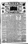 South London Mail Saturday 17 May 1902 Page 5