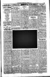 South London Mail Saturday 07 June 1902 Page 9