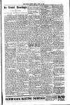 South London Mail Saturday 28 June 1902 Page 3