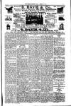 South London Mail Saturday 28 June 1902 Page 5