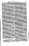 Australian and New Zealand Gazette Saturday 08 July 1854 Page 5