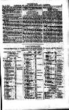 Australian and New Zealand Gazette Saturday 20 April 1861 Page 17