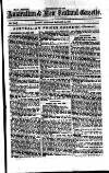 Australian and New Zealand Gazette Saturday 12 January 1867 Page 17