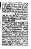 Australian and New Zealand Gazette Saturday 10 July 1875 Page 19