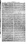 Australian and New Zealand Gazette Saturday 14 August 1875 Page 19