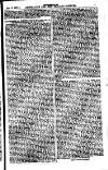 Australian and New Zealand Gazette Saturday 03 February 1877 Page 31