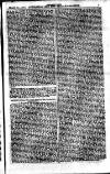 Australian and New Zealand Gazette Saturday 17 March 1877 Page 29