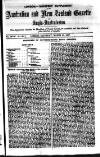 Australian and New Zealand Gazette Saturday 31 March 1877 Page 25