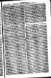 Australian and New Zealand Gazette Saturday 04 August 1877 Page 19