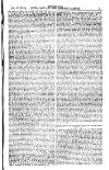 Australian and New Zealand Gazette Saturday 19 January 1878 Page 21