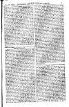 Australian and New Zealand Gazette Saturday 23 February 1878 Page 31