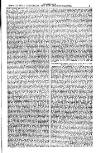 Australian and New Zealand Gazette Saturday 23 March 1878 Page 21