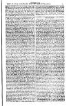 Australian and New Zealand Gazette Saturday 23 March 1878 Page 23