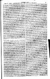 Australian and New Zealand Gazette Saturday 27 April 1878 Page 21