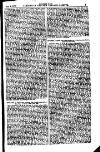 Australian and New Zealand Gazette Saturday 01 February 1879 Page 19