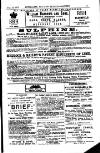 Australian and New Zealand Gazette Saturday 15 February 1879 Page 13