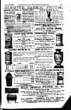 Australian and New Zealand Gazette Saturday 24 January 1880 Page 23
