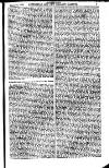 Australian and New Zealand Gazette Saturday 10 April 1880 Page 19