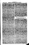 Australian and New Zealand Gazette Saturday 17 April 1880 Page 29