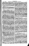 Australian and New Zealand Gazette Saturday 17 July 1880 Page 19