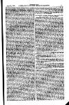 Australian and New Zealand Gazette Saturday 31 July 1880 Page 19