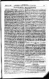 Australian and New Zealand Gazette Saturday 11 December 1880 Page 55