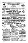 Australian and New Zealand Gazette Saturday 12 March 1881 Page 19