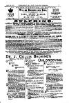 Australian and New Zealand Gazette Saturday 18 June 1881 Page 21