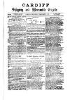 Cardiff Shipping and Mercantile Gazette Monday 03 January 1876 Page 1