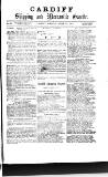 Cardiff Shipping and Mercantile Gazette Monday 17 April 1876 Page 1